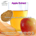 NutraMax Supply-Green Apple Extract/Green Apple Extract Powder/Natural Green Apple Extract
